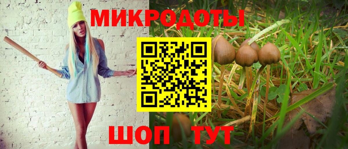 Галлюциногенные грибы прущие грибы Чита