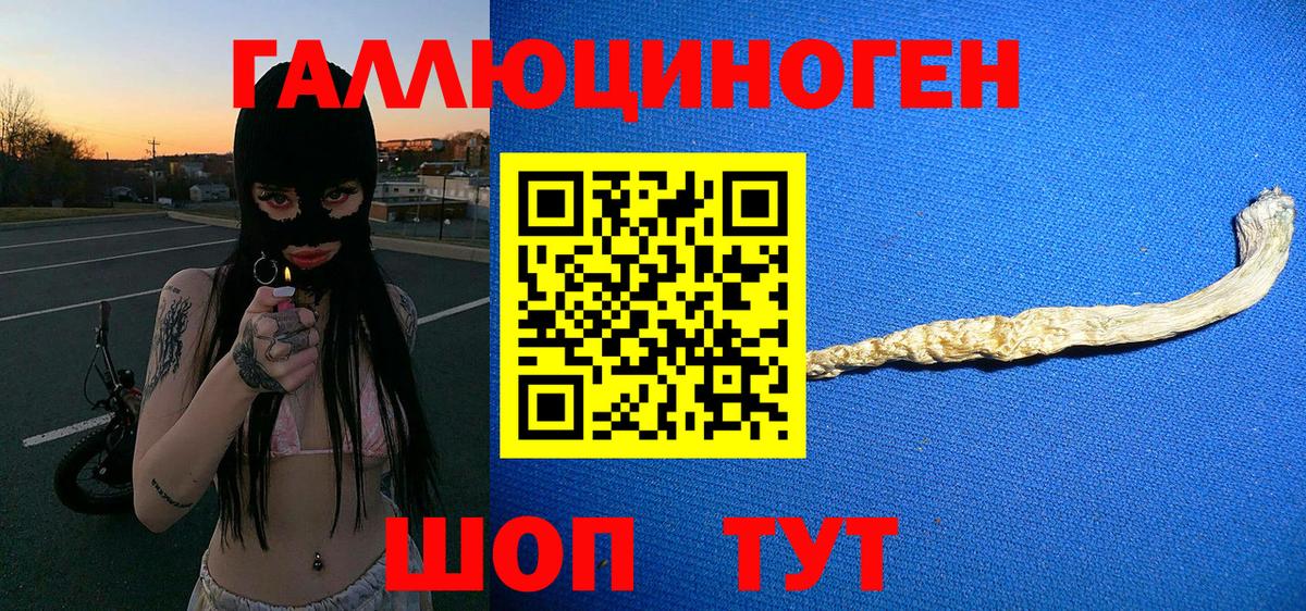 Псилоцибиновые грибы Psilocybe  Вход с VPN  Галлюциногенные грибы Cubensis  Чита 